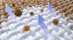 可降解环保包装材料